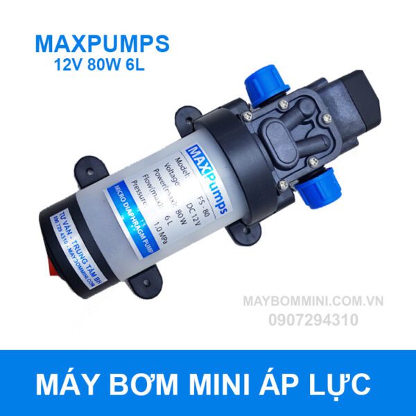 Bom Ap Luc Mini 12v 80w.jpg