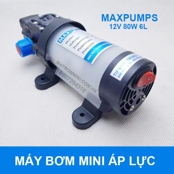 May Bom Nuoc Mini 12v Ap Luc.jpg