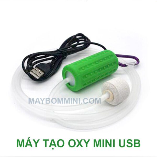 May Tao Oxy Du Phong