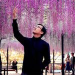 Anh Huy Anh Huy