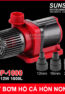 May Bom Chim 24V 12W 1000L SUNSUN JDP 1000