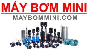 May Bom Mini