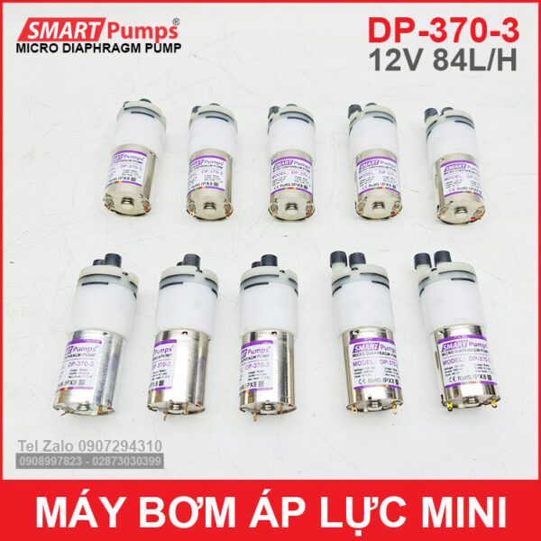 May Bom Ap Luc Mini 12V 84L Smartpumps DP 370 3