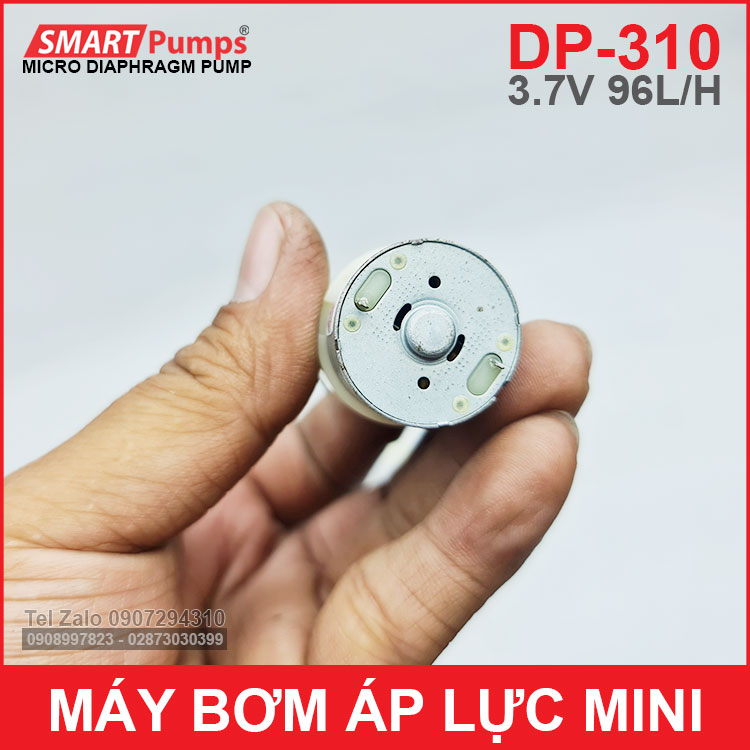 Ban Bom Nuoc Mini 12V DP310